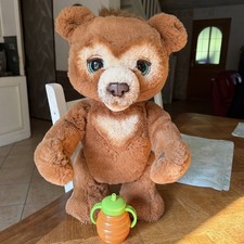 L'OURS CURIEUX INTERACTIF