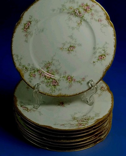 Theodore haviland limoges - , 10