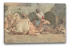 Toile/Cadres Mariano Fortuny Marsal - Camels Reposing, Tanger