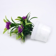 5 Petit Lotuses Artificiel