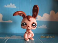 PETSHOP LAPIN DE GARENNE