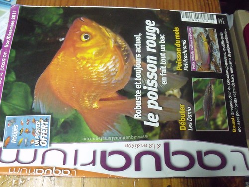 Revue aquarium la maison - a,