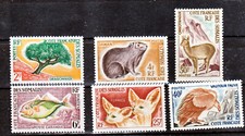 Cote des somalis 305/310 faune
