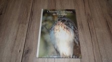 Chouettes et Hiboux de