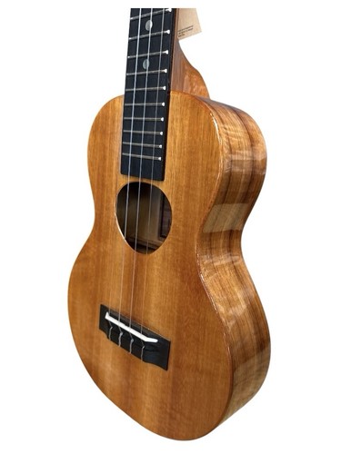 Koaloha concert factory - concert,