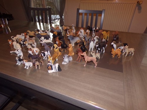 Collection chiens édition - collection, 70