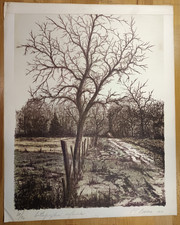 LITHOGRAPHIE - Numéroté