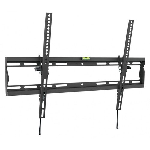 Support inclinable - 55'',
