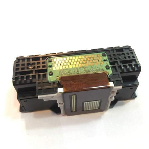 Qy6 0083 tête - qy6-0083,