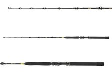 Daiwa big game - bg, de