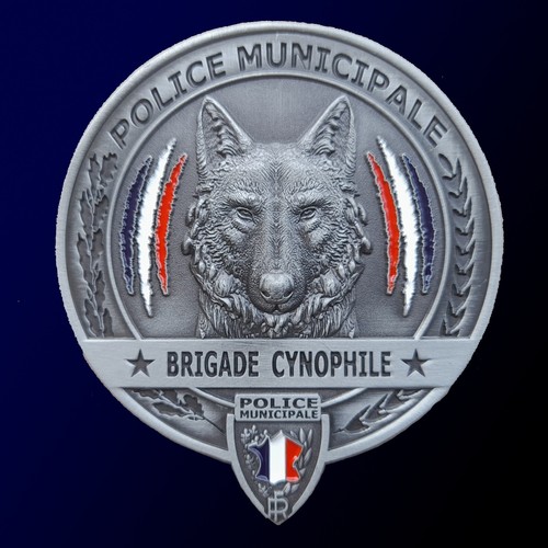 Insigne spécialité police - insigne,
