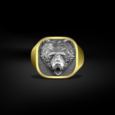 Bague chevalière homme tête