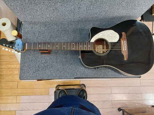 Guitare acoustique électrique