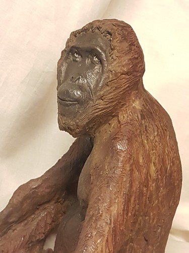 Orang outan bronze d art - "orang,