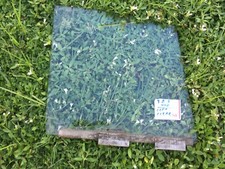 Jaguar 3.8S, 420 Arrière