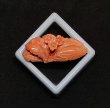 Sculpture corail de mer