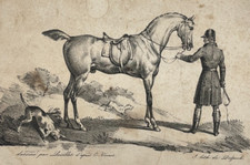 Cheval LITHOGRAPHIE Locillot