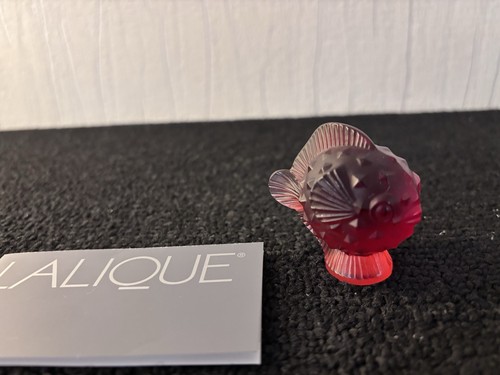 Poisson coffre rouge - , en