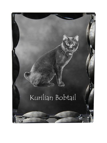 Bobtail kurilien cristal - bobtail,