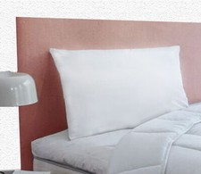 Oreiller anti-acariens Proneem® - DODO  -  NEUF -