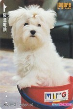 Carte JAPON - ANIMAL - CHIEN -