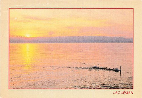 Suisse lac leman chalet - suisse,
