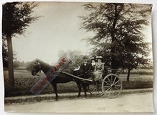 PHOTO attelage avec carriole Bretagne  G26