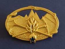 GENDARMERIE - CHEF DE CARAVANE DE SECOURS EN MONTAGNE - attaches de type "PIN'S"