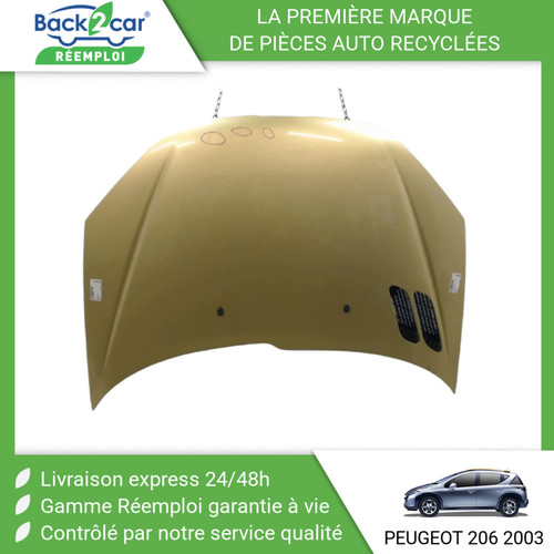 Capot peugeot 206 - 🏆,