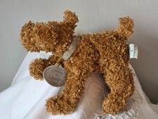 CHIEN  TYPE AIREDALE DOUDOU &