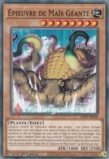 Yu-Gi-Oh! Épieuvre de Maïs Géante : C ALIN-FR098