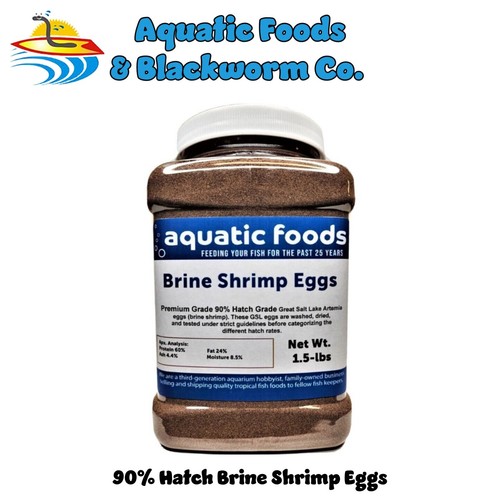 Brine shrimp eggs - shrimp,