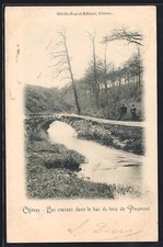 CPA Chimay, Les crasses dans les bas du bois de Pleumont 1901 