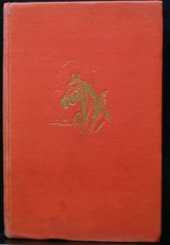 Horse talks pegasus - horse,