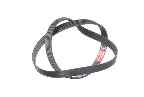 Courroie striée multiple - striÉe, en