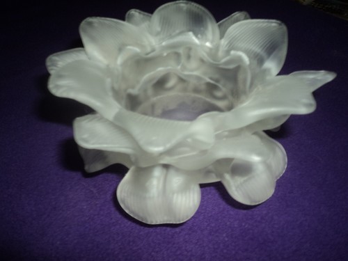 Ancienne tulipe fleur pâte - tulipe,