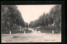CPA Sinceny, L´Allée 