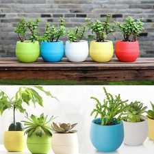 10 X Mini Pot Rond Succulent