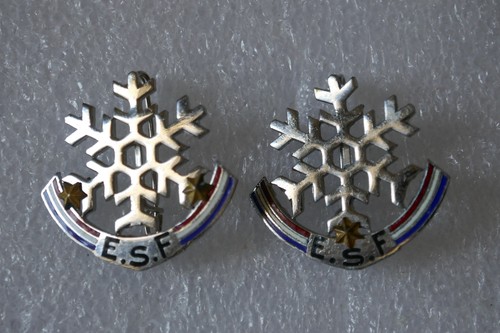 Insignes flocons esf ecole - insignes,