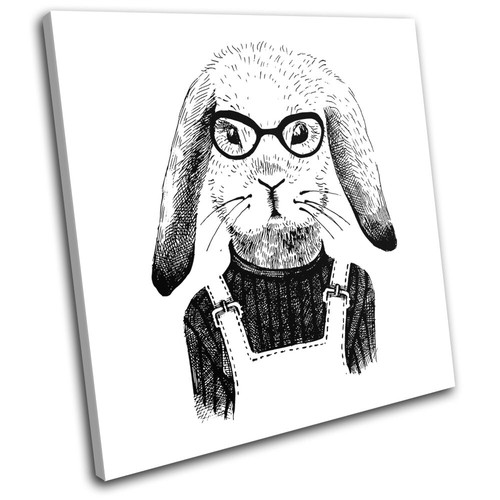 Hipster animals rabbit bunny - animals,