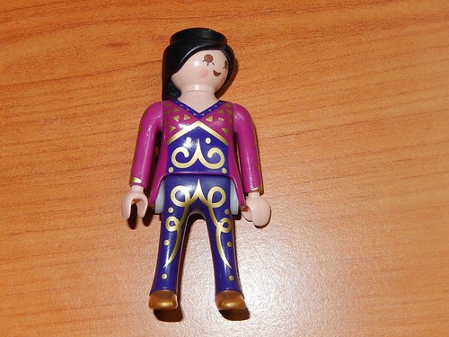 Playmobil cirque 5057 - cirque,