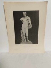 Gravure Antinoüs Du Belveder Ancienne