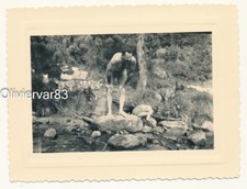 Vintage photo - man in speedo swimsuit and boxer dog by a river stream