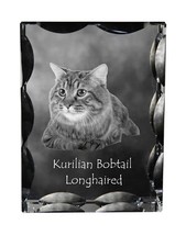 Kurilianer Bobtail Longhair -