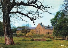 62 WISQUES SAINT OMER