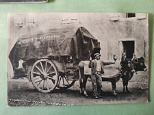 CPA  ATTELAGE de BOEUFS