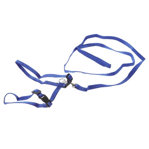 Laisse lapin harnais ceinture - laisse,