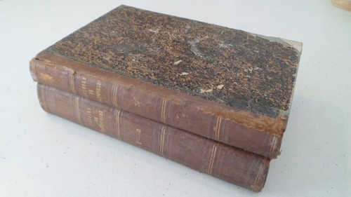 Histoire robespierre du - histoire,