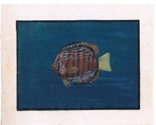 Fait à la Main Peinture De Discus Poisson (Symphysodon) Sur Soie Vêtements