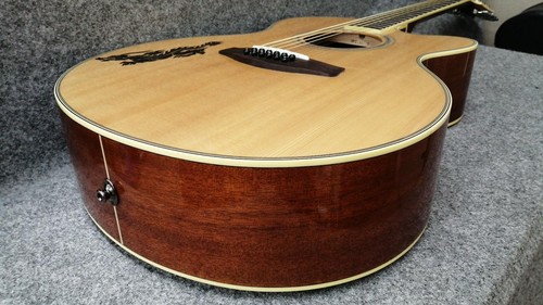 Guitare électrique acoustique